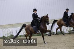 25R13_11061 proof