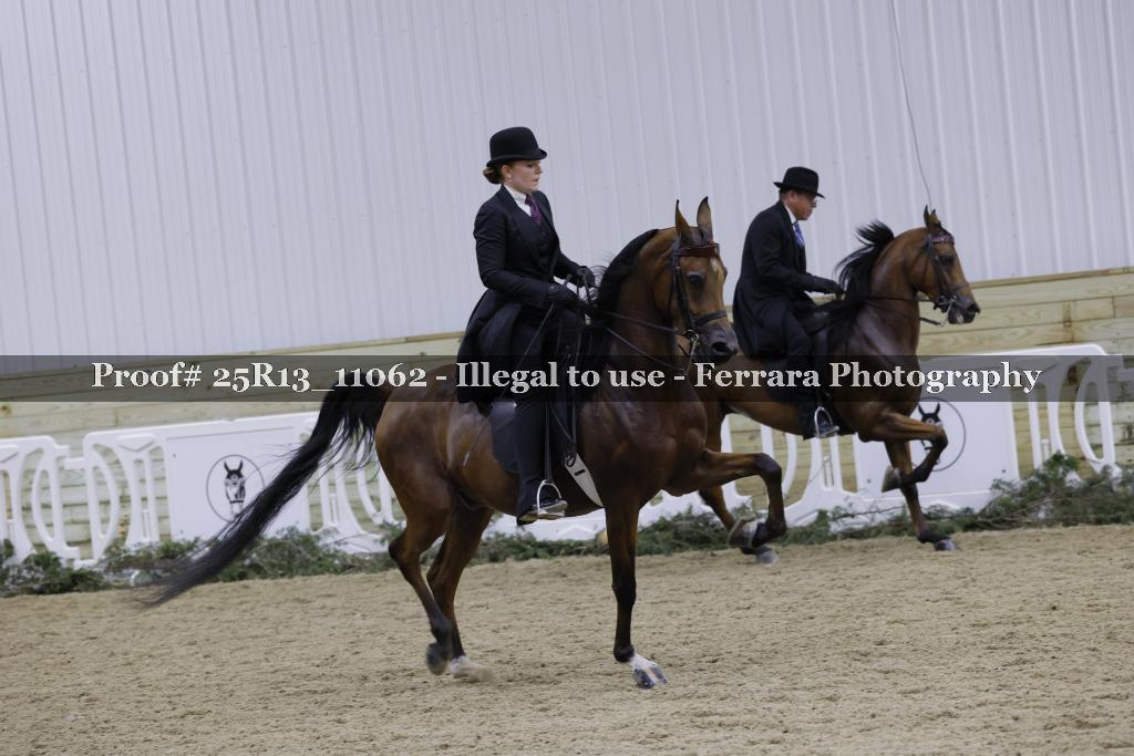 Proof 25R13_11062