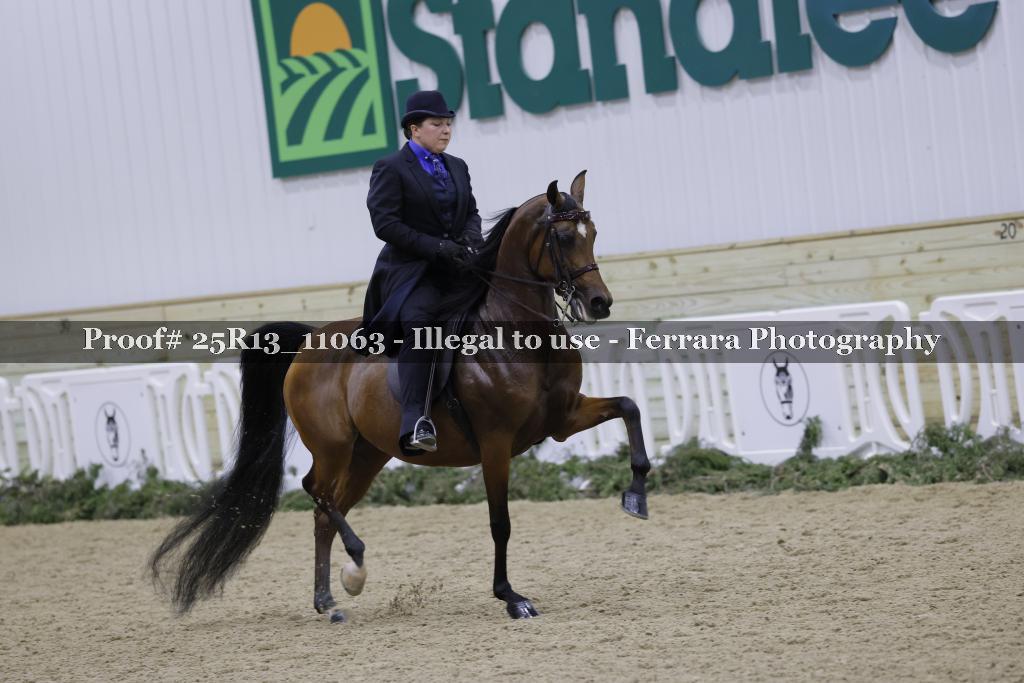 Proof 25R13_11063