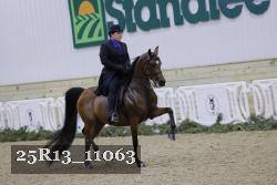 25R13_11063 proof