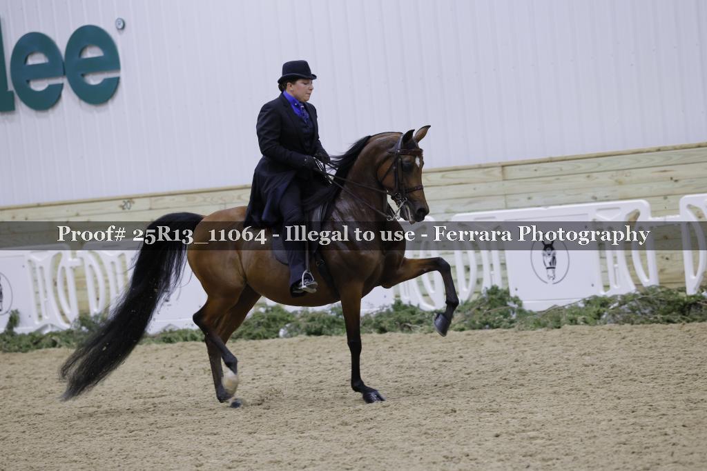 Proof 25R13_11064