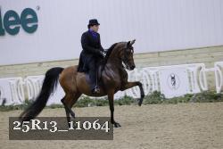 25R13_11064 proof