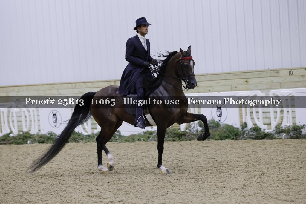 Proof 25R13_11065