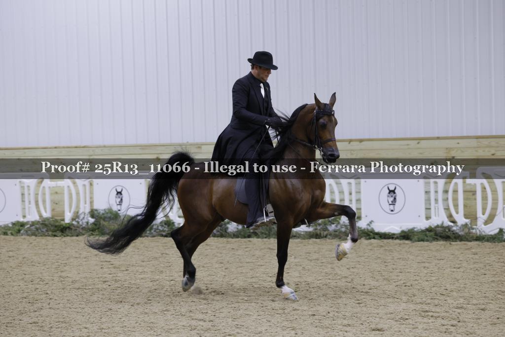 Proof 25R13_11066