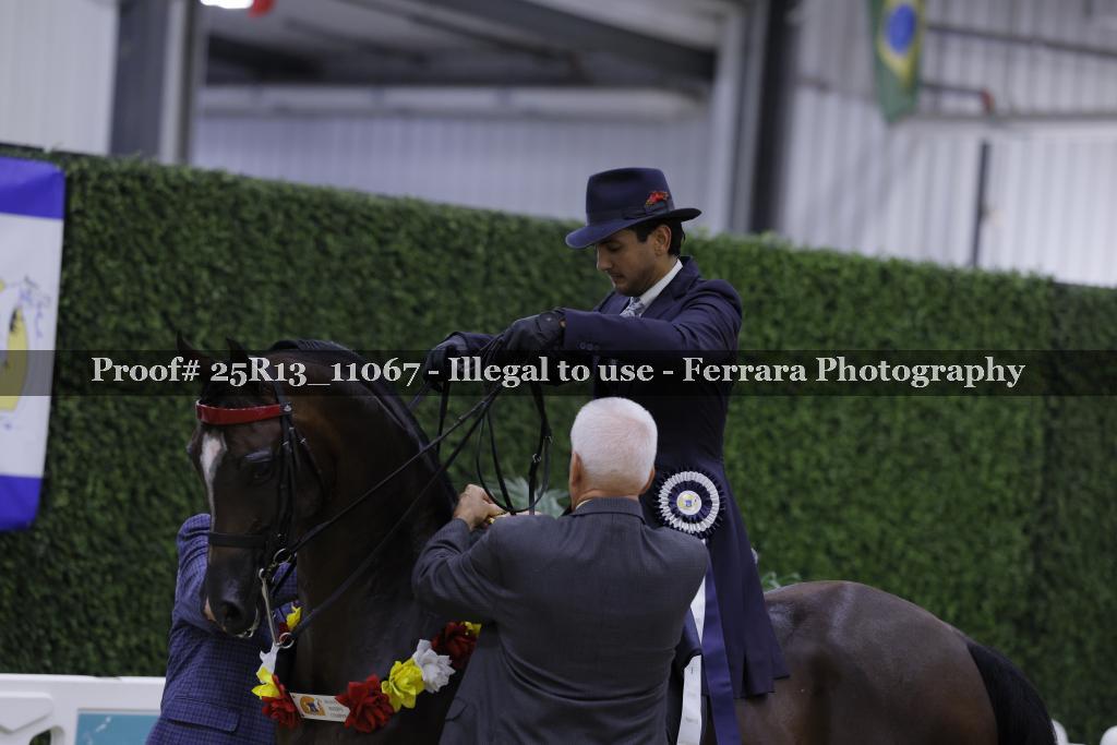 Proof 25R13_11067
