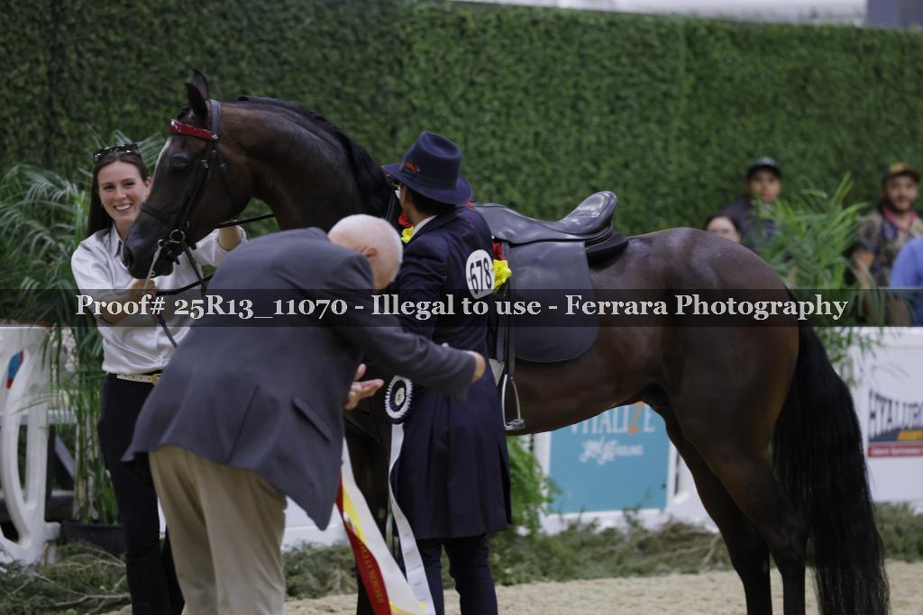 Proof 25R13_11070