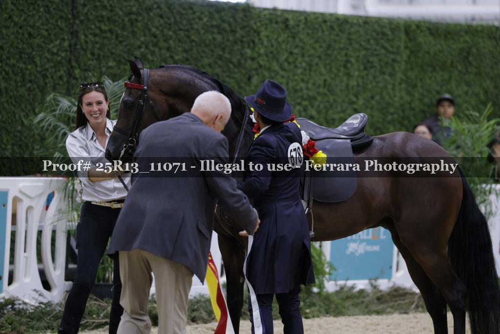 Proof 25R13_11071