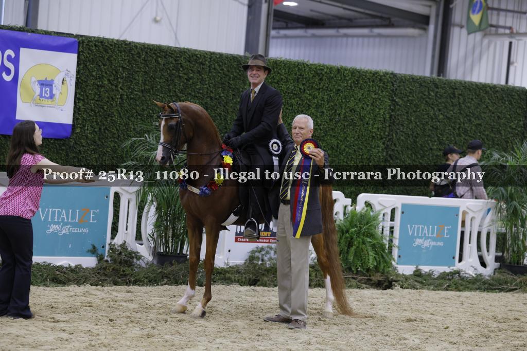 Proof 25R13_11080