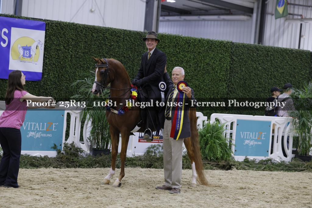 Proof 25R13_11081