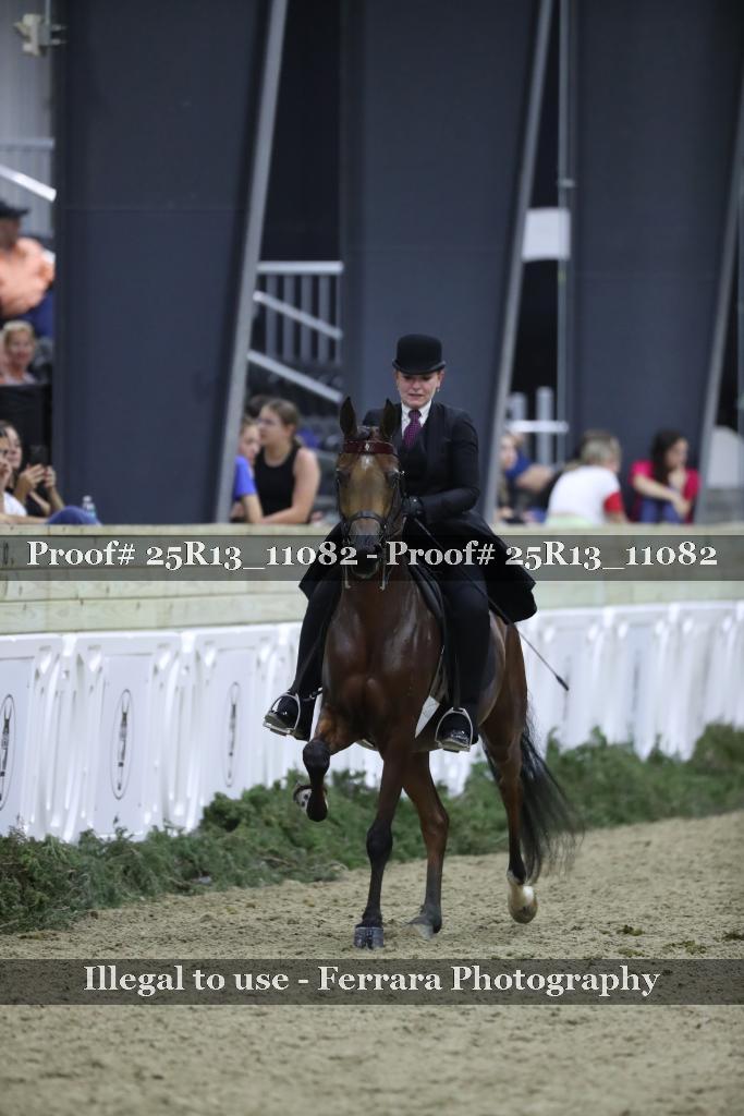 Proof 25R13_11082