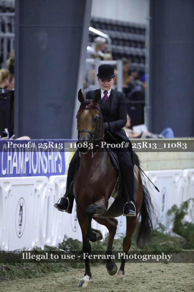 Proof 25R13_11083