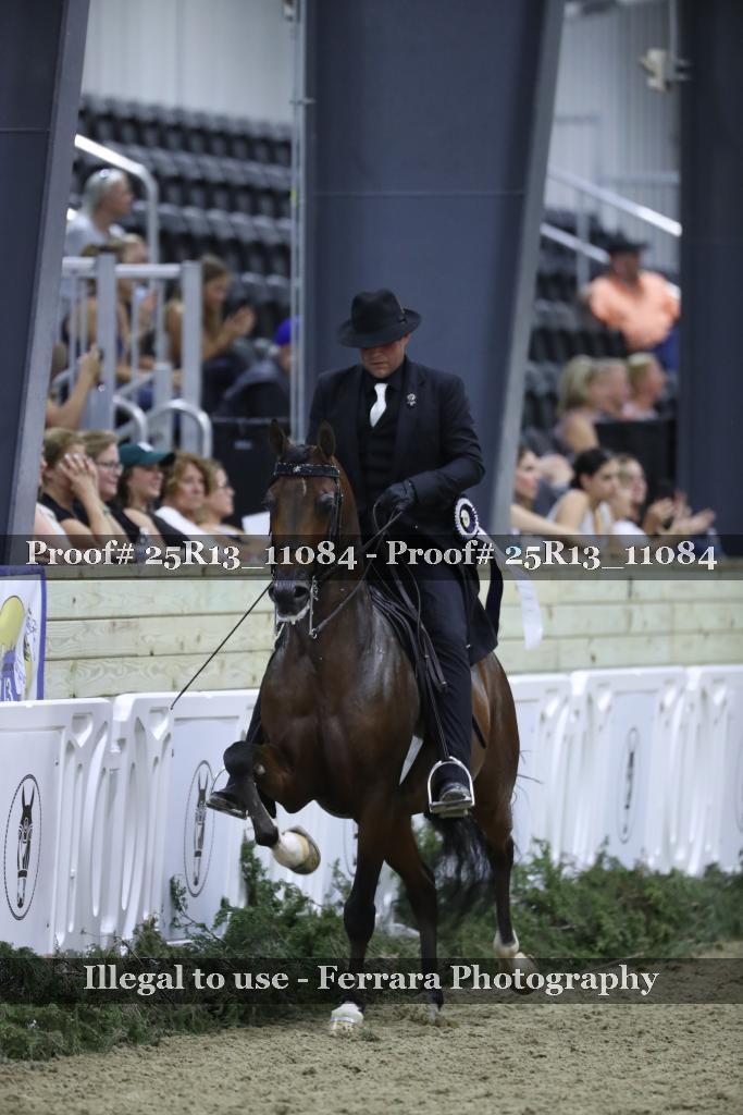 Proof 25R13_11084