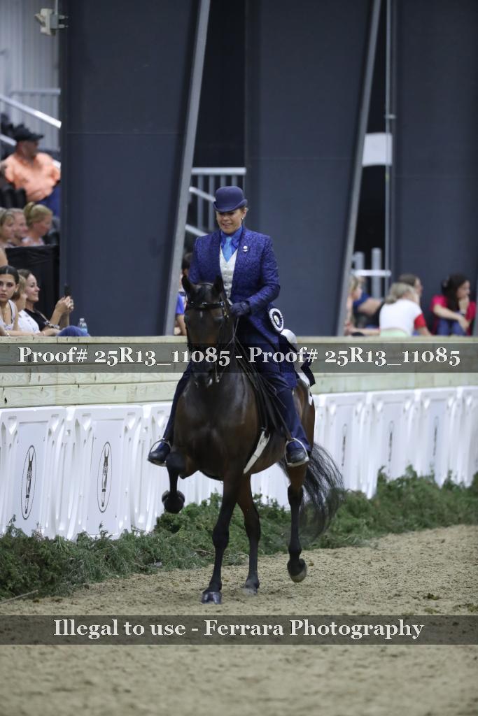 Proof 25R13_11085