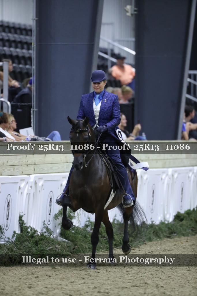 Proof 25R13_11086