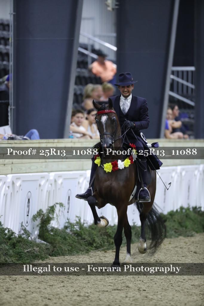 Proof 25R13_11088