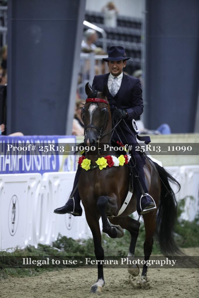 Proof 25R13_11090