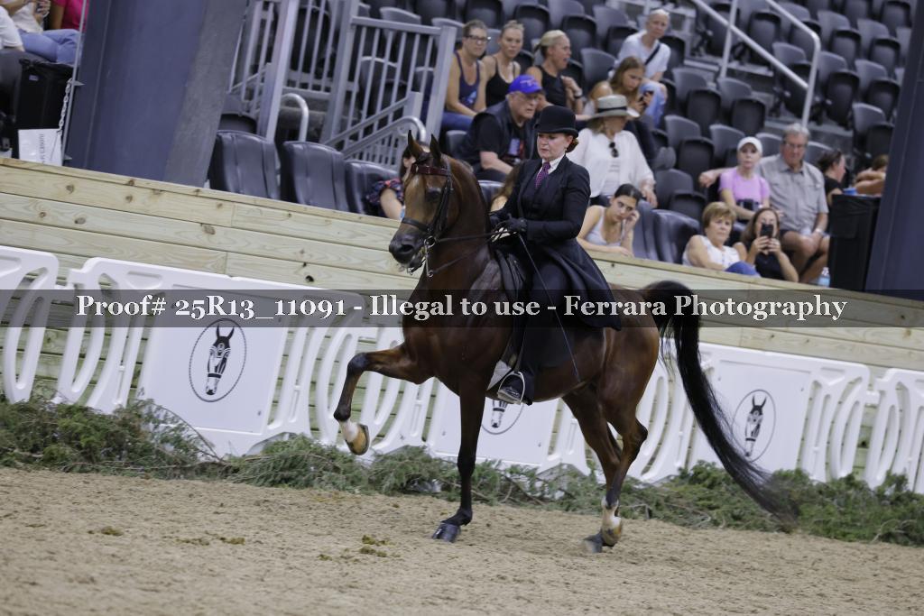 Proof 25R13_11091