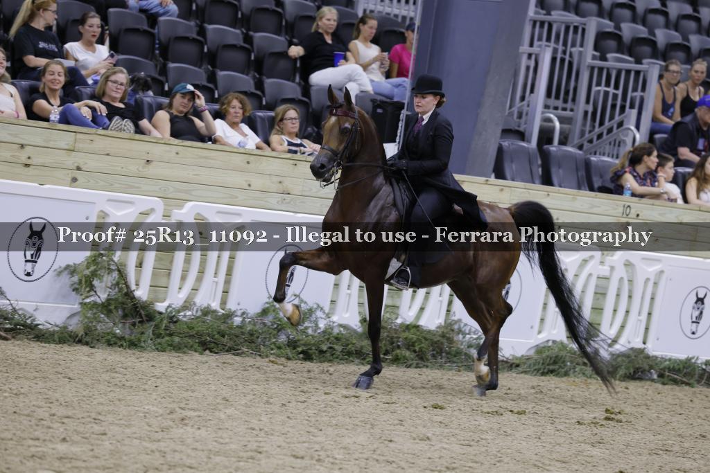 Proof 25R13_11092