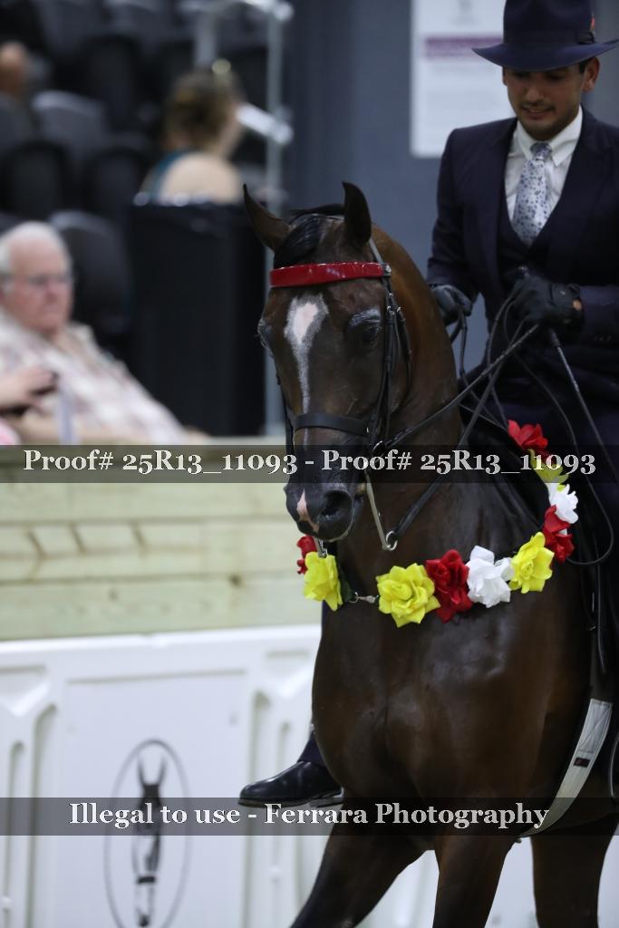 Proof 25R13_11093