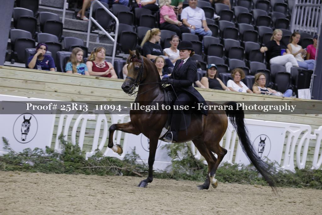 Proof 25R13_11094