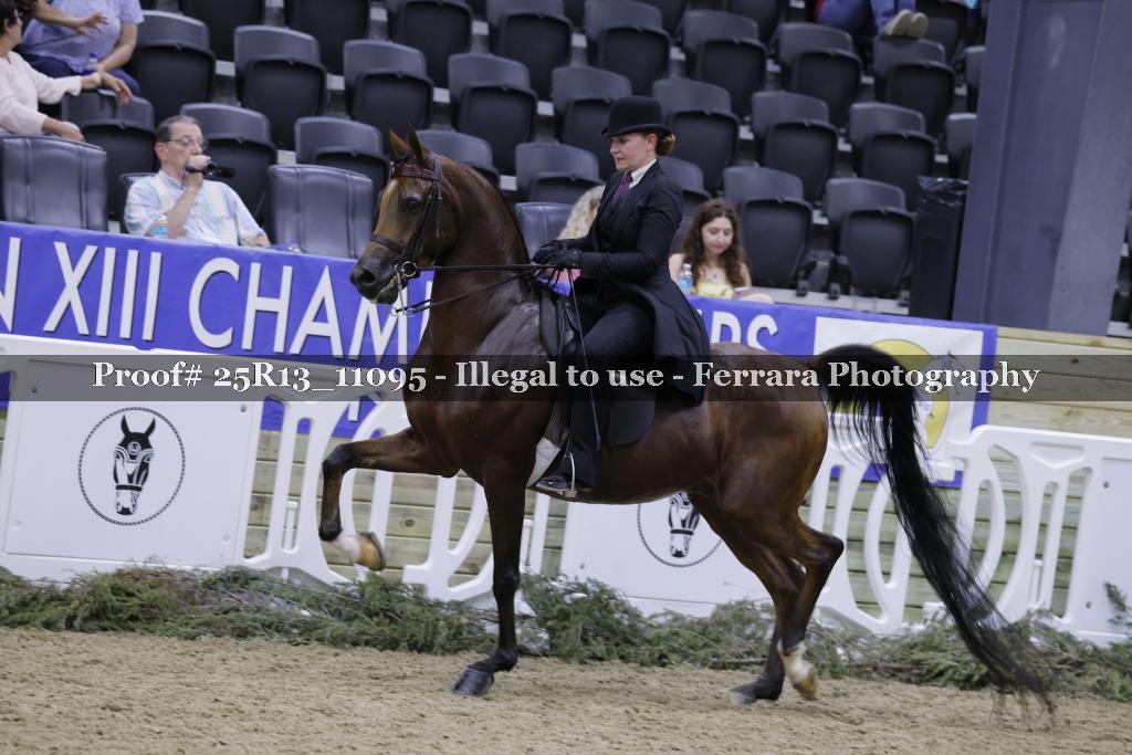 Proof 25R13_11095