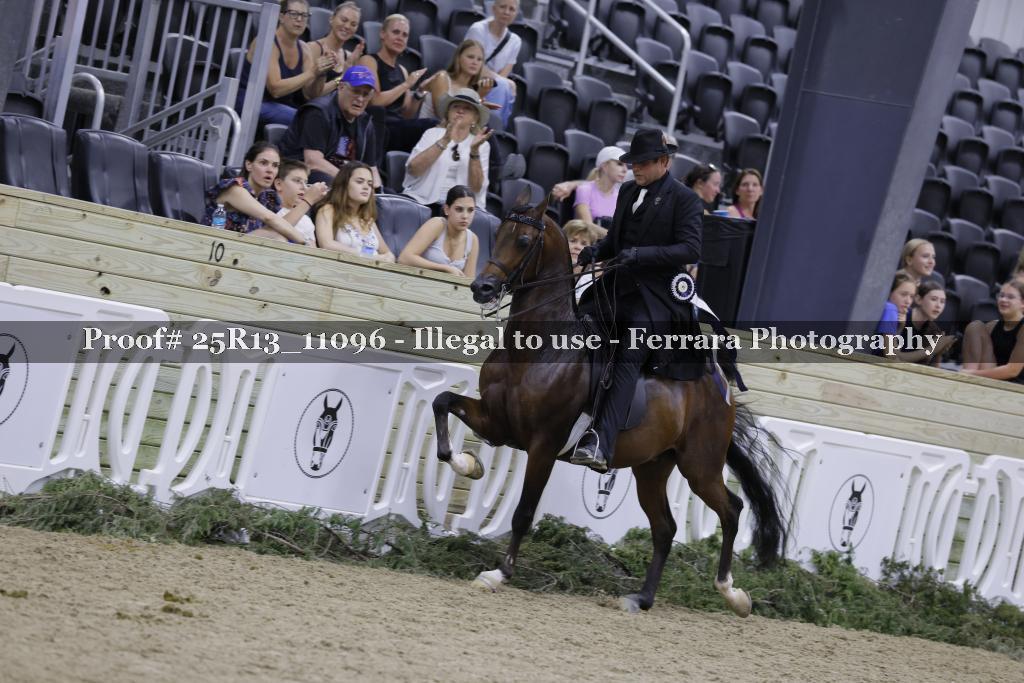 Proof 25R13_11096