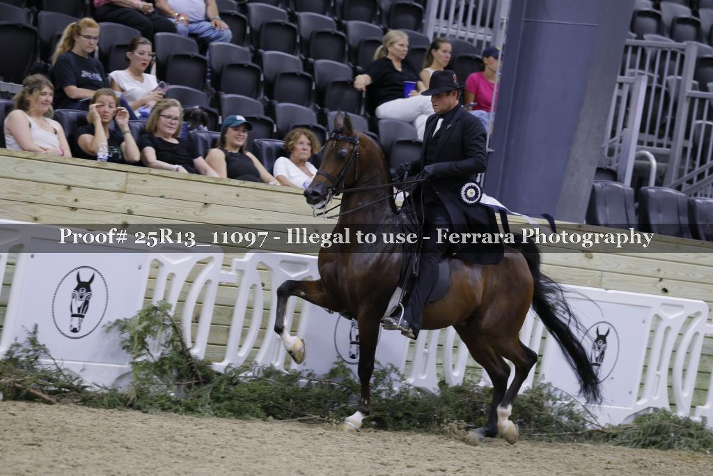 Proof 25R13_11097