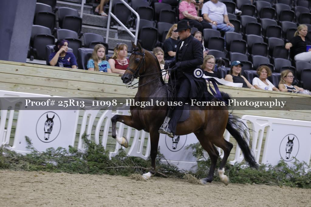 Proof 25R13_11098