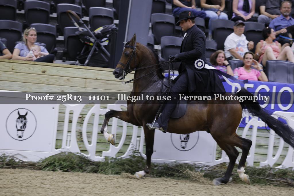 Proof 25R13_11101