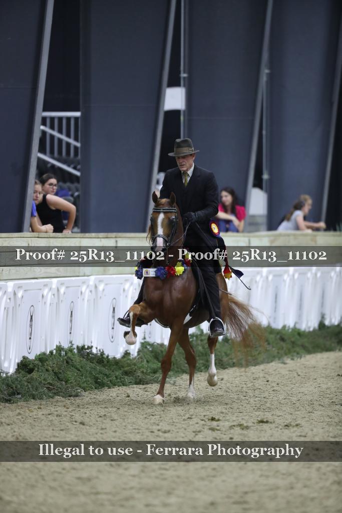 Proof 25R13_11102