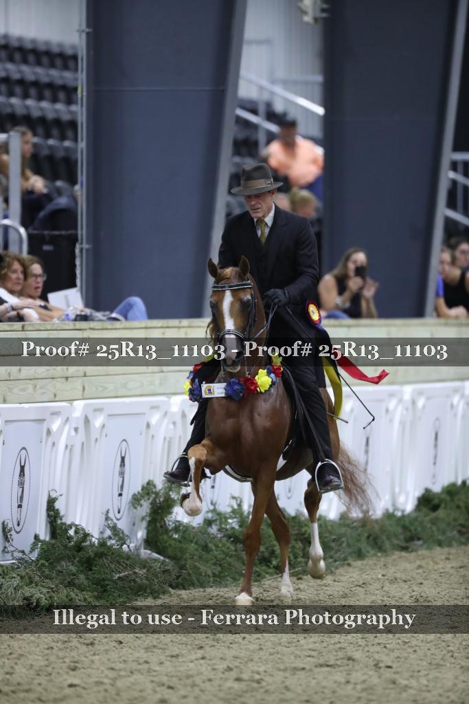 Proof 25R13_11103