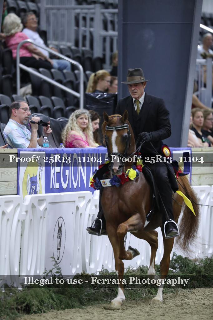 Proof 25R13_11104