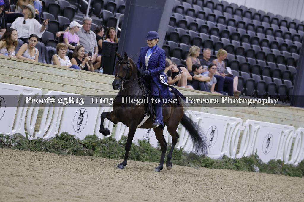 Proof 25R13_11105