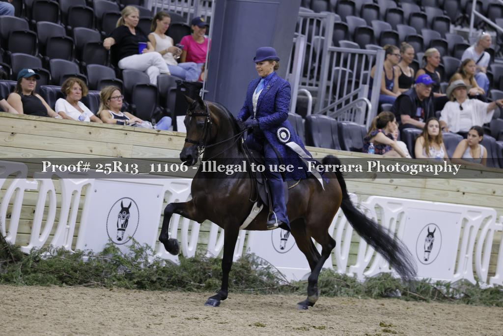 Proof 25R13_11106