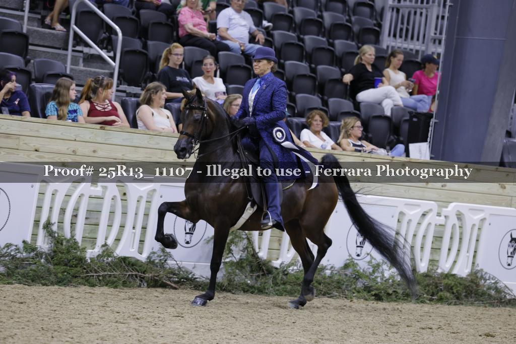 Proof 25R13_11107
