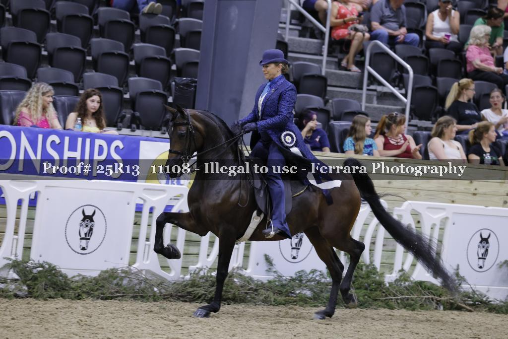 Proof 25R13_11108