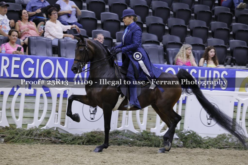 Proof 25R13_11109