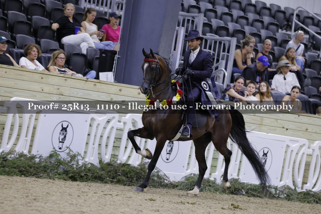 Proof 25R13_11110
