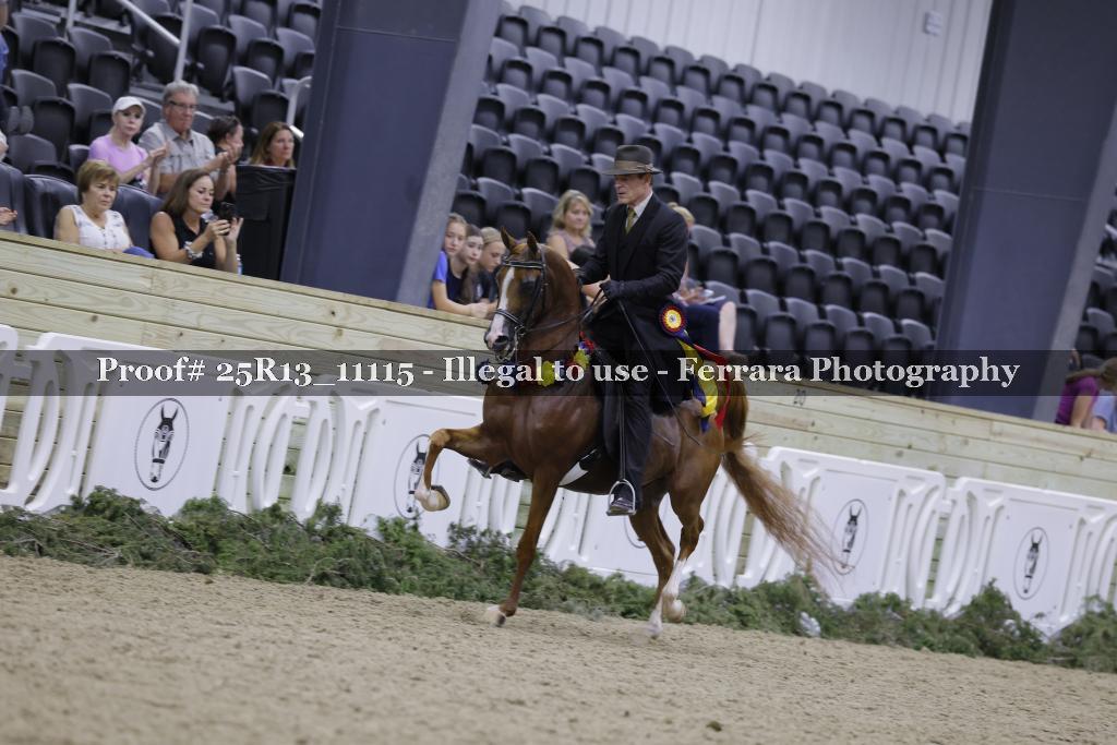 Proof 25R13_11115