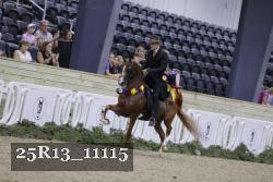 25R13_11115 proof