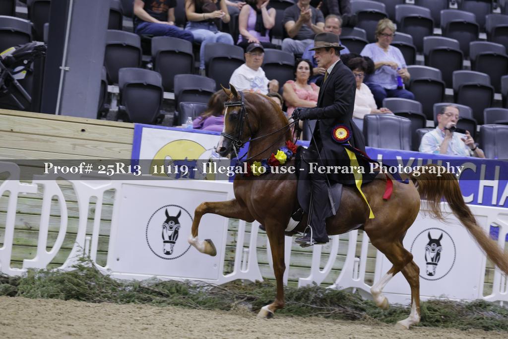 Proof 25R13_11119