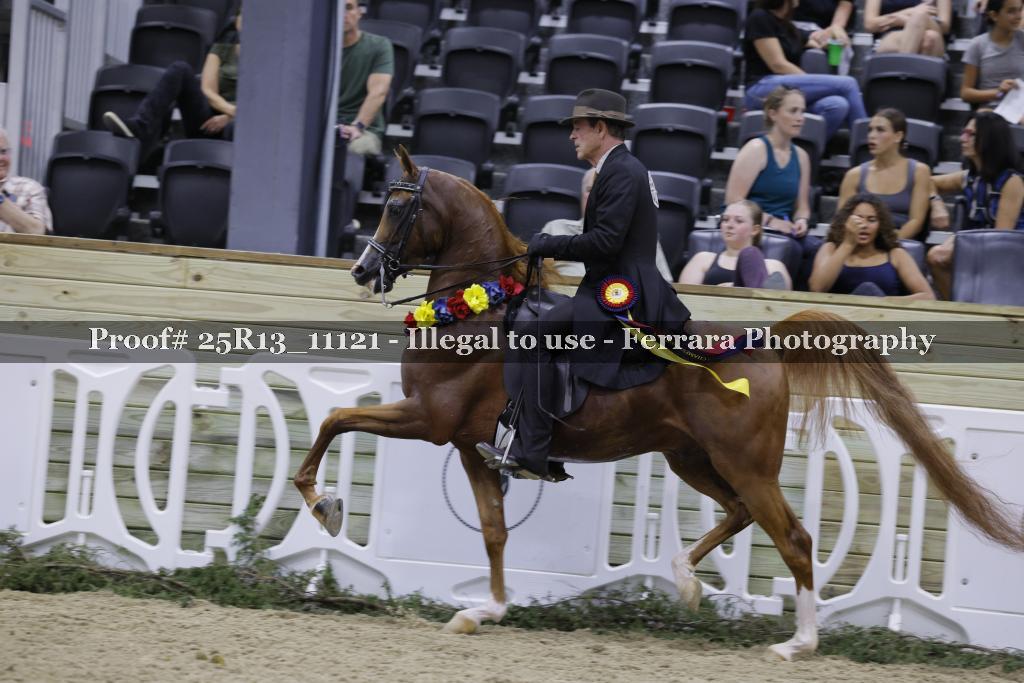 Proof 25R13_11121