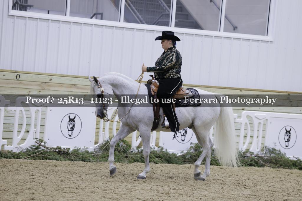 Proof 25R13_11123