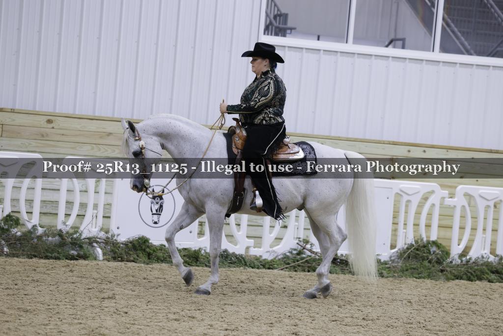 Proof 25R13_11125