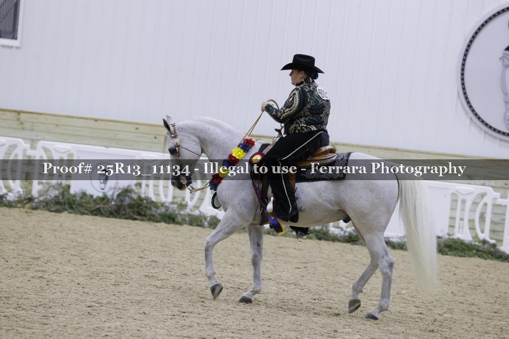 Proof 25R13_11134