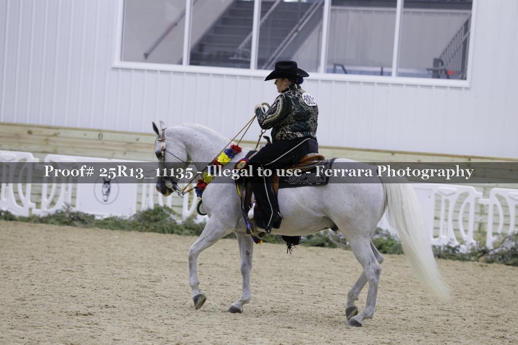 Proof 25R13_11135