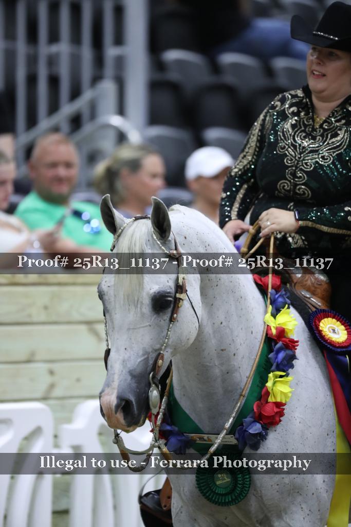 Proof 25R13_11137