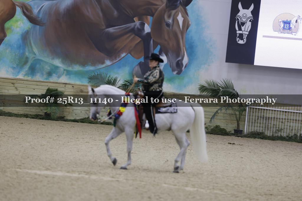 Proof 25R13_11140
