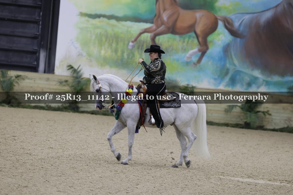 Proof 25R13_11142