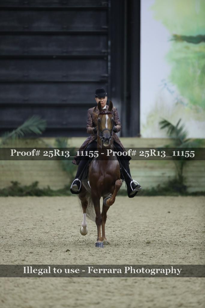 Proof 25R13_11155